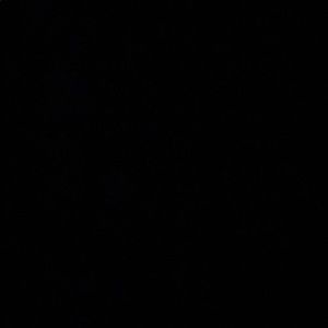 Meet your Posher, Queen